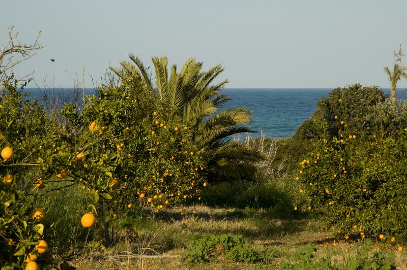 Chypre07 - 2007-03-11_16-20-26.jpg